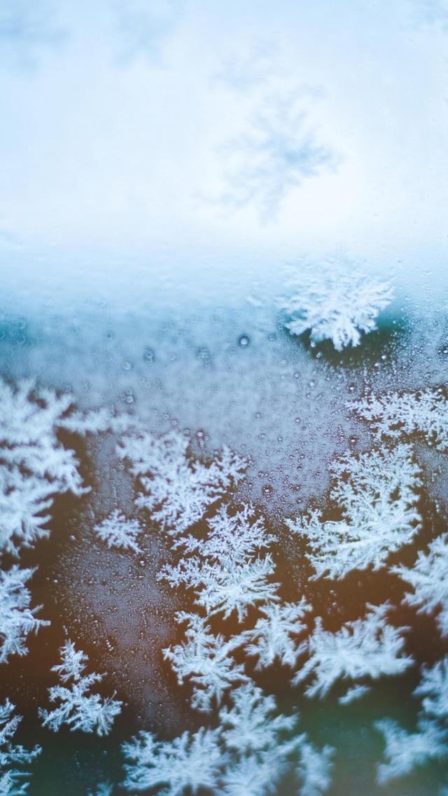 唯美的大自然雪花风光意境