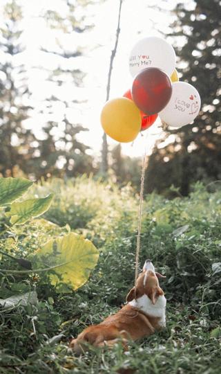 浪漫唯美色彩斑斓的气球