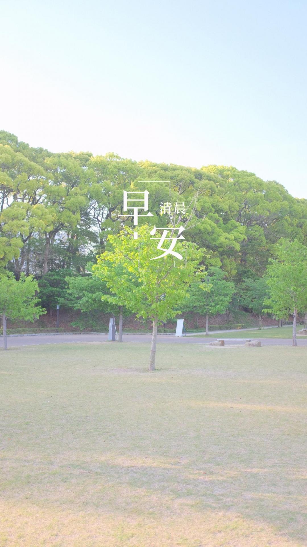 清晨唯美的早安说说