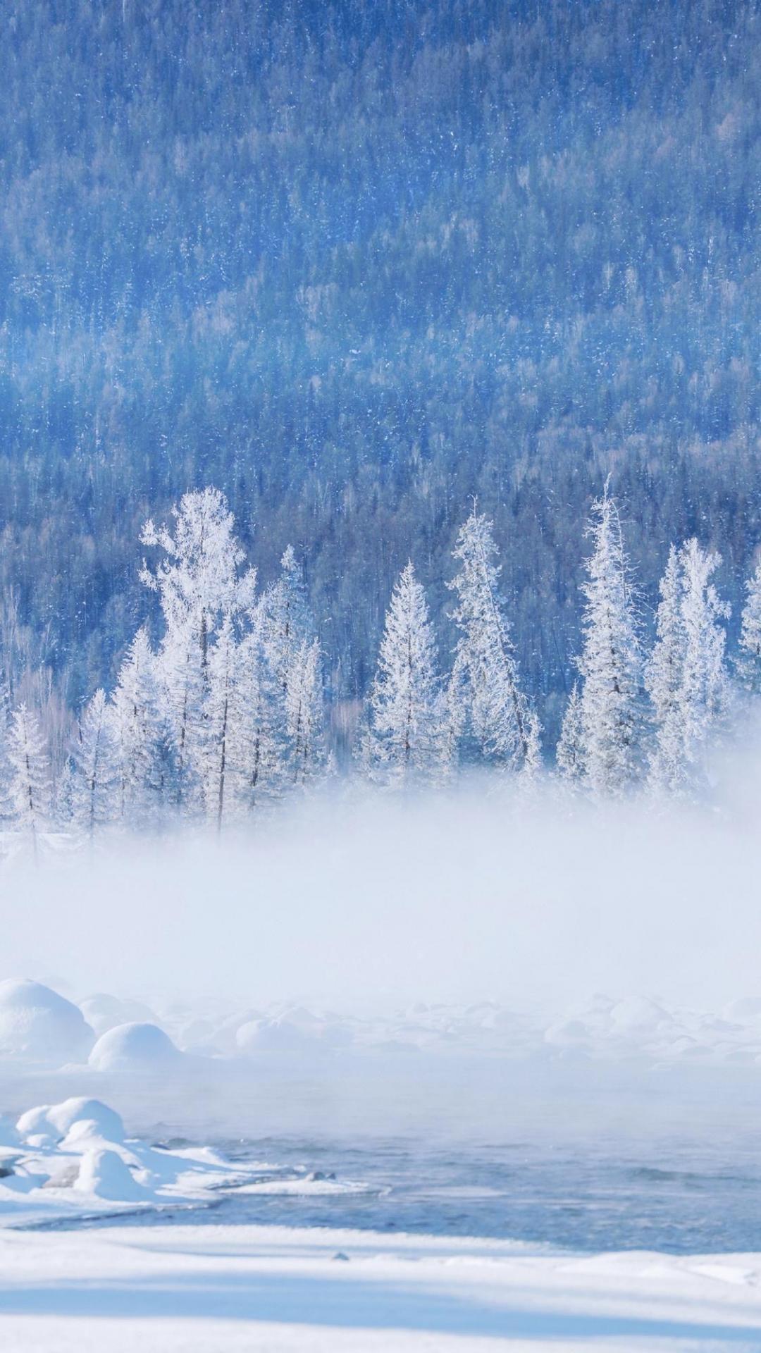 爱上这雪白的景色