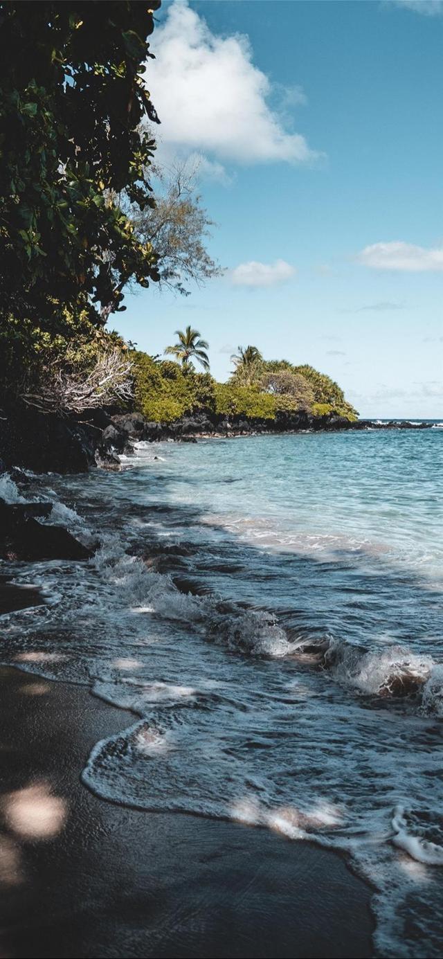 美丽的夏威夷毛伊岛夏日海边风光