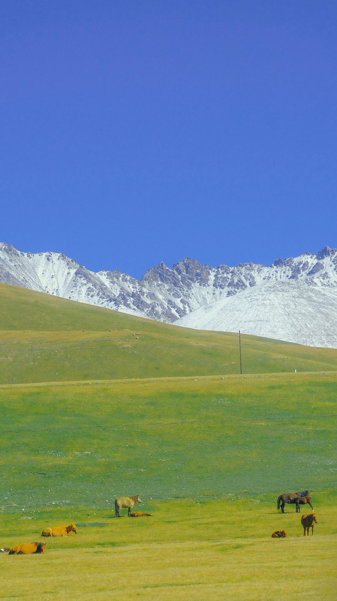 草原雪山壮阔自然风景