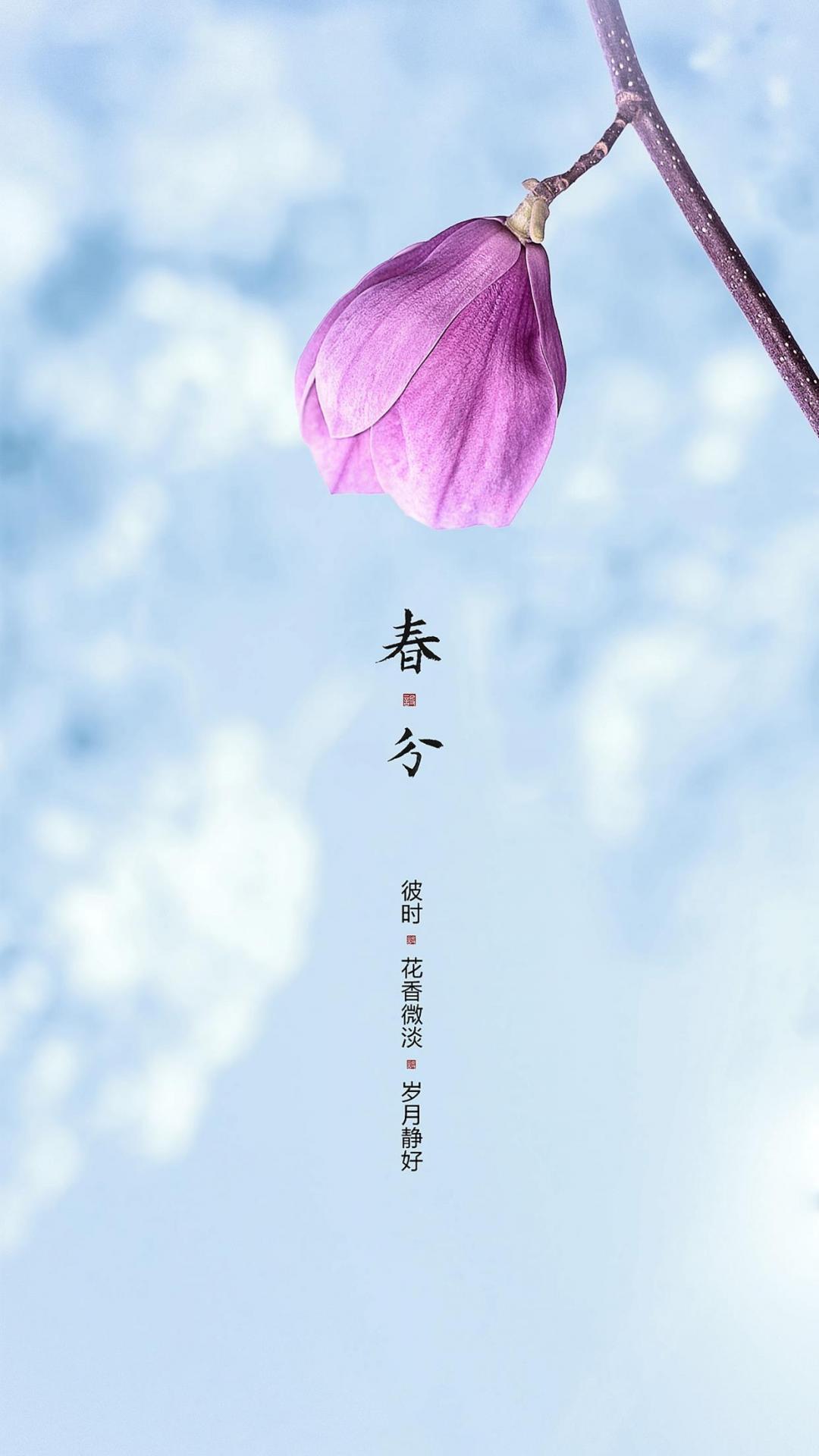 岁月静好,春分时
