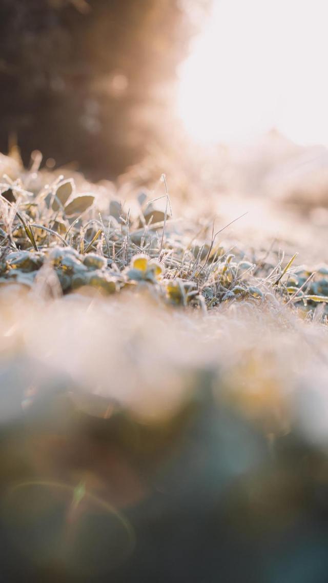 阳光下的优美小清新美景