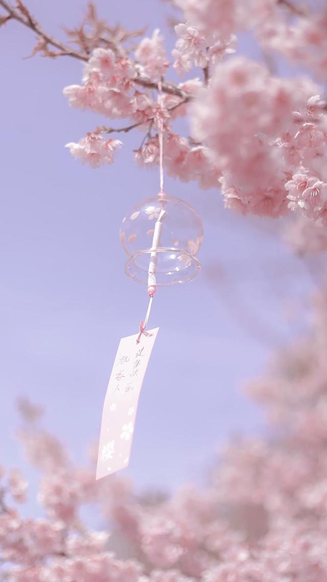 风铃与樱花浪漫唯美写真