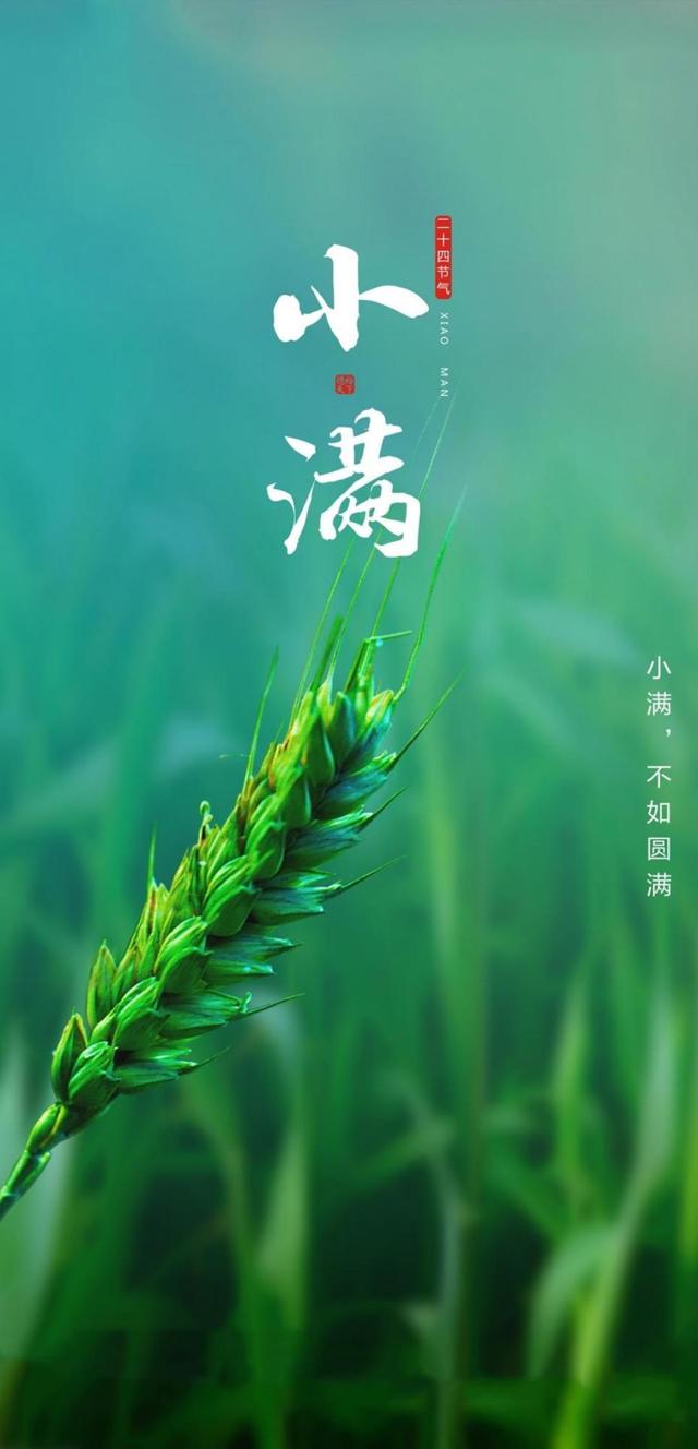 小清新24时节小满