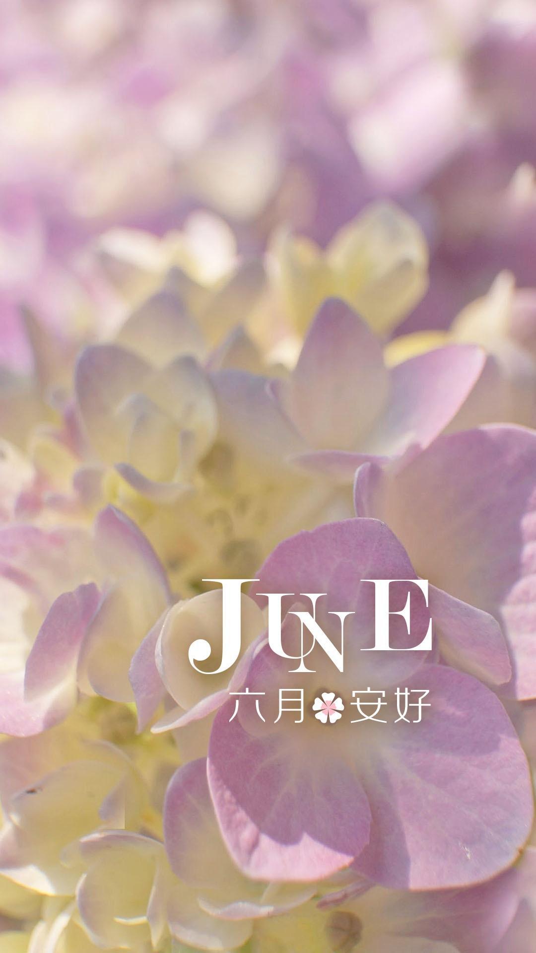 小清新六月安好