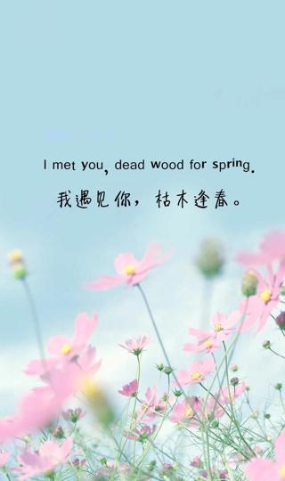 我遇见你,枯木逢春