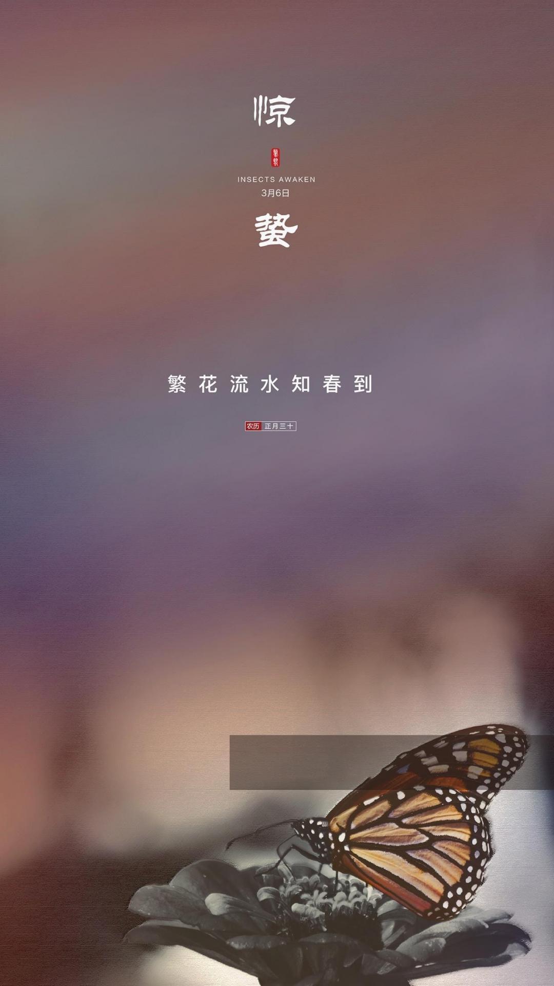 最美24节气惊蛰