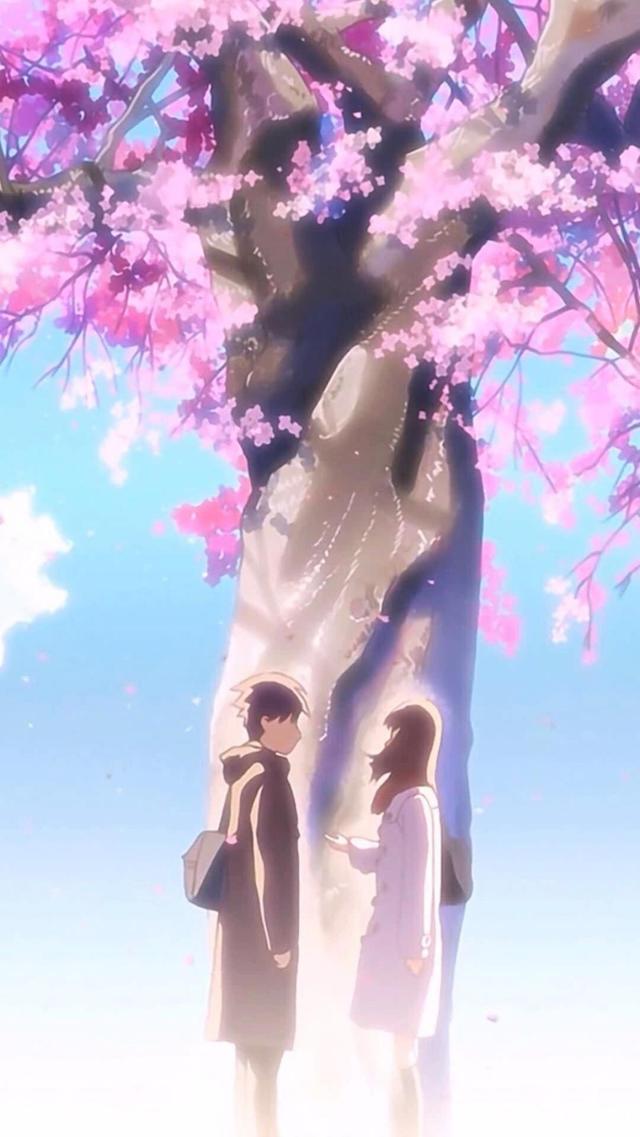 樱花树下的甜蜜情侣