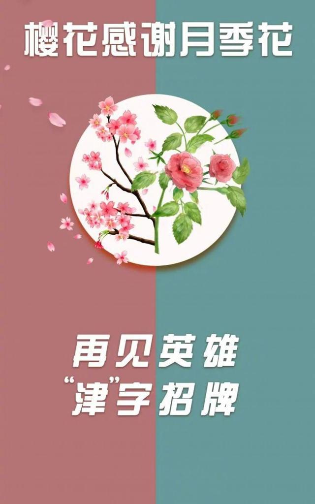 武大樱花感谢月季花