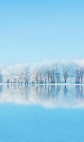 蓝天下唯美的雪景意境