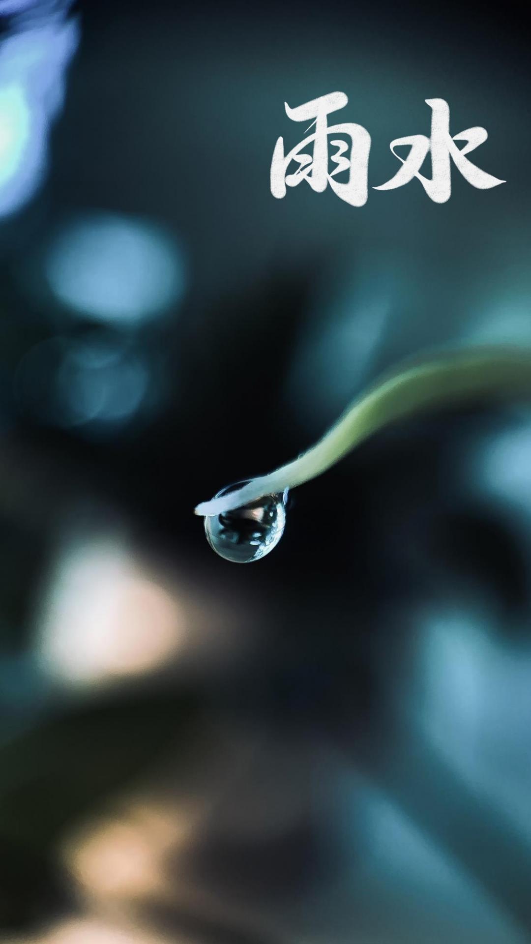 雨水节气晶莹的雨露