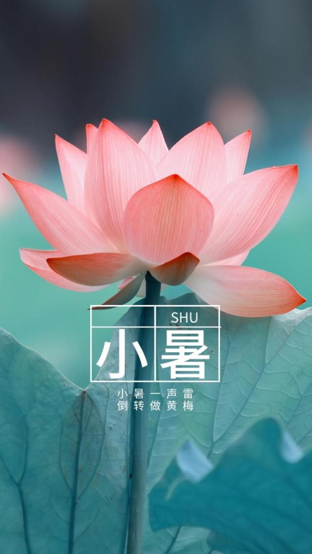 24时节小暑经典农谚