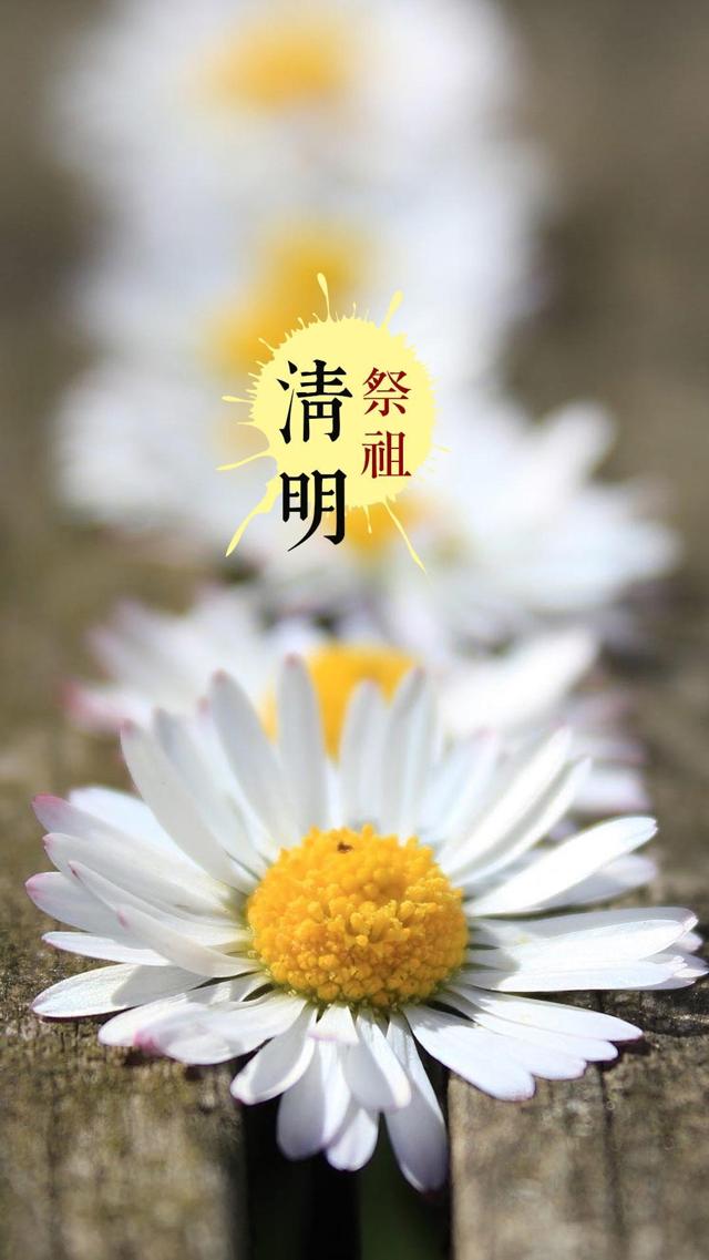 清明时节,离愁是一年又一年