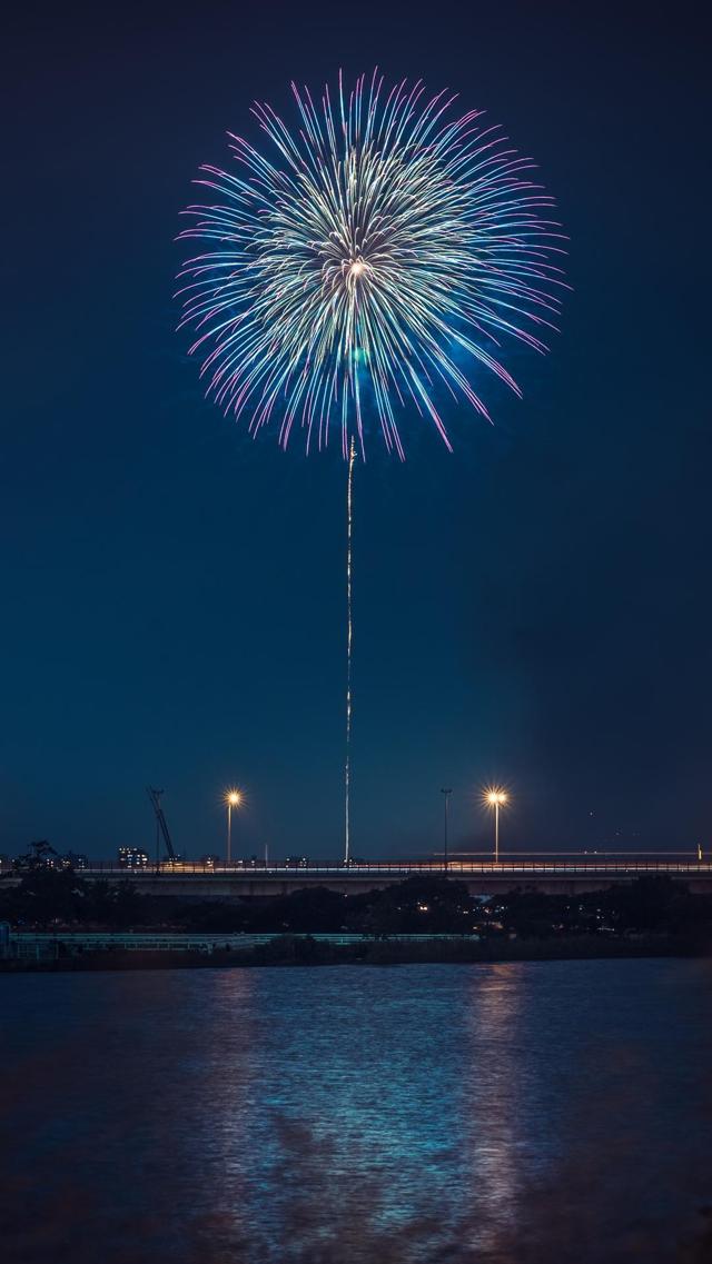 夏末烟花绽放梦幻风景写真