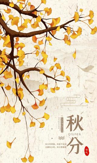秋分节气中国风手绘插画