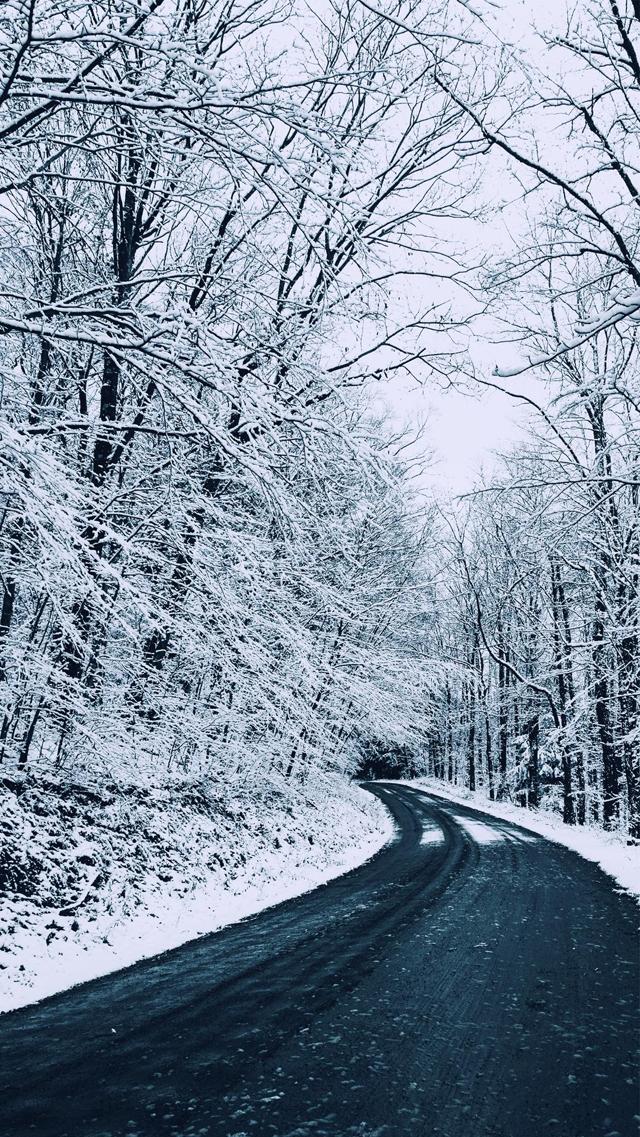 冬日森林公路优美雪景