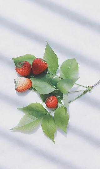 清新自然小草莓