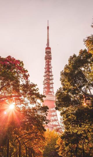 日本著名建筑——东京塔