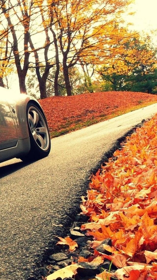 秋天道路上的名车 跑车 iPhone6壁纸