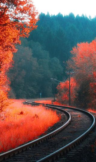 穿过橙色枫树林的铁路唯美手机壁纸