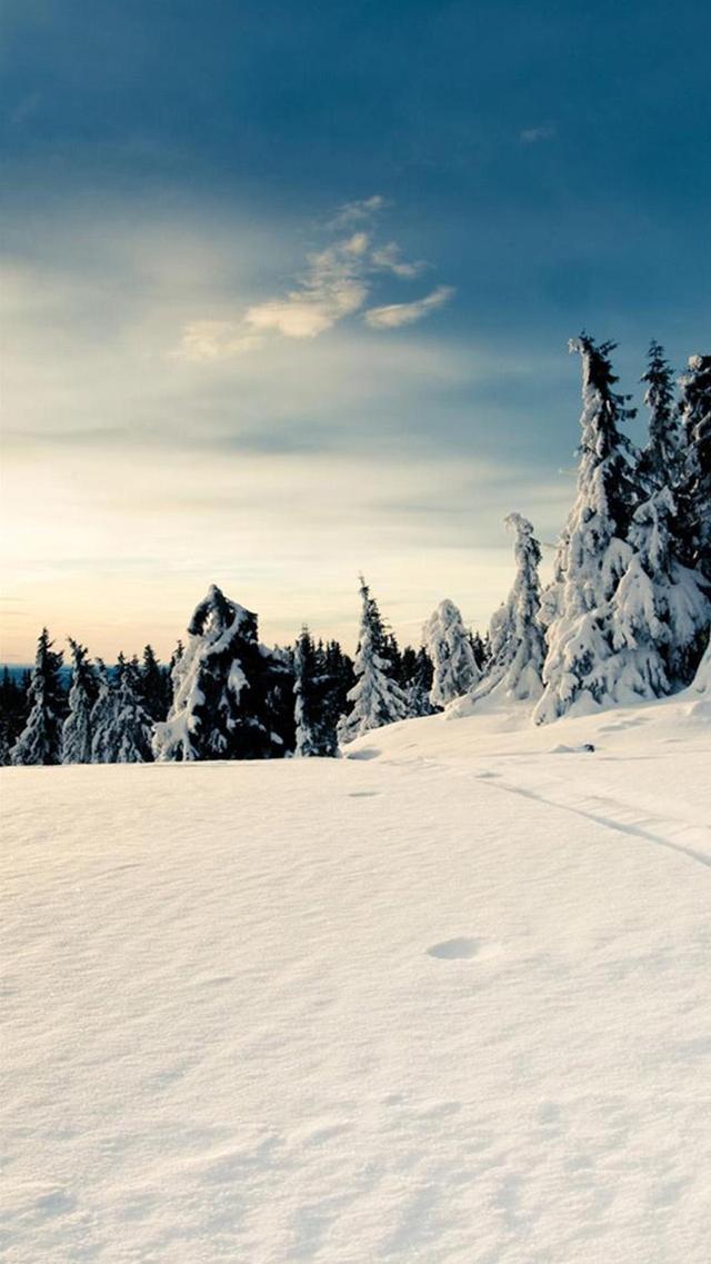 山森中的雪景壁纸图片