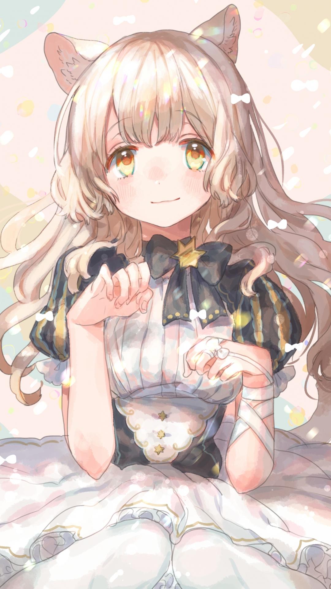 猫日手机壁纸