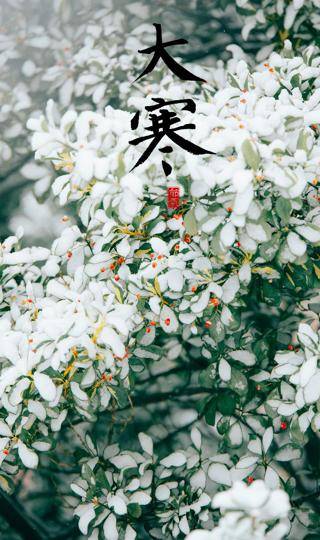 精美中国传统节日大寒时节清新雪景壁纸图片