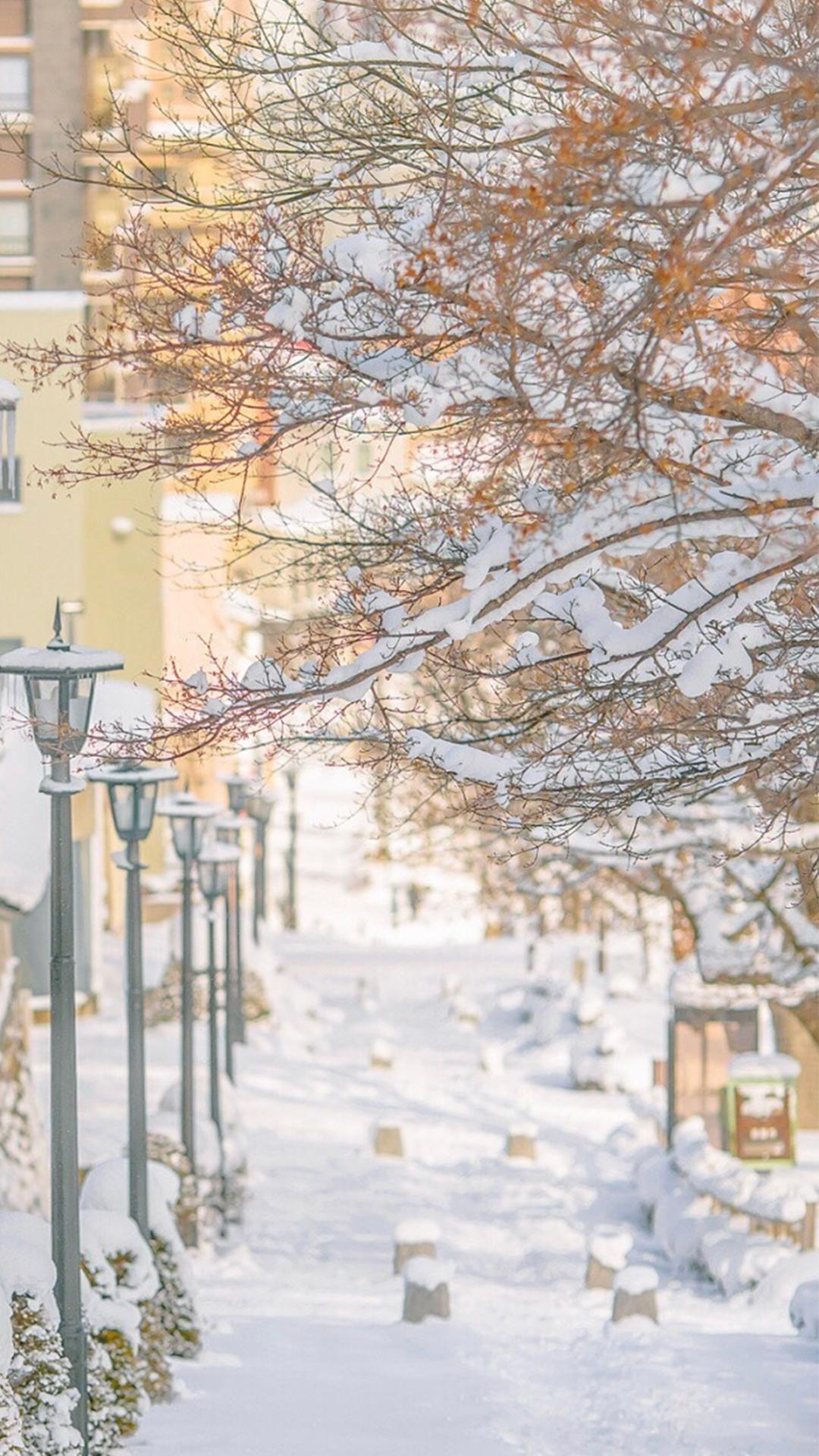 好看的冬日唯美治愈街道雪景