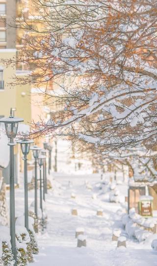 好看的冬日唯美治愈街道雪景