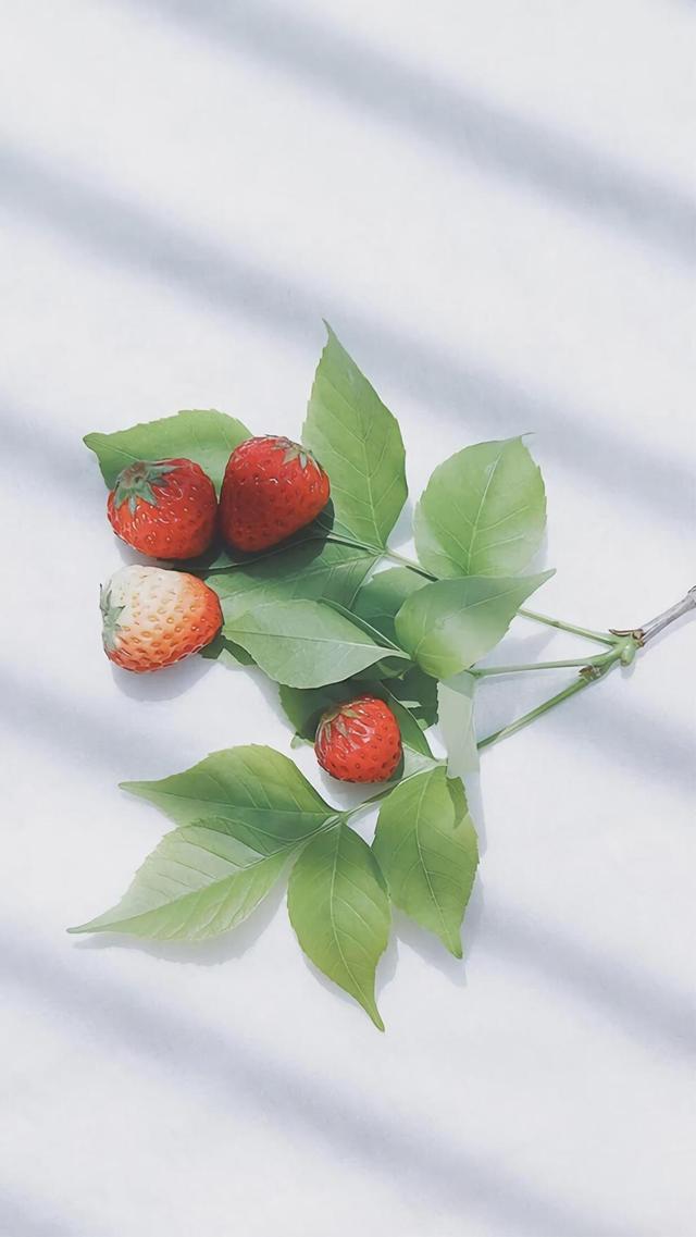 清新自然小草莓手机壁纸图片