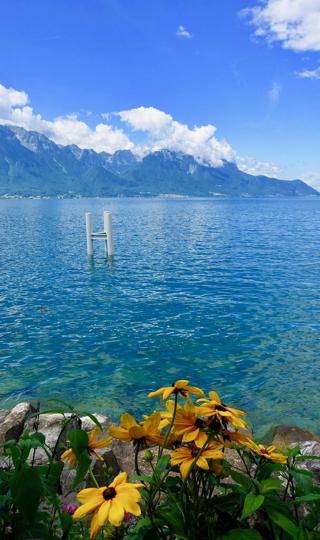 最迷人的平静湖面风光手机背景下载