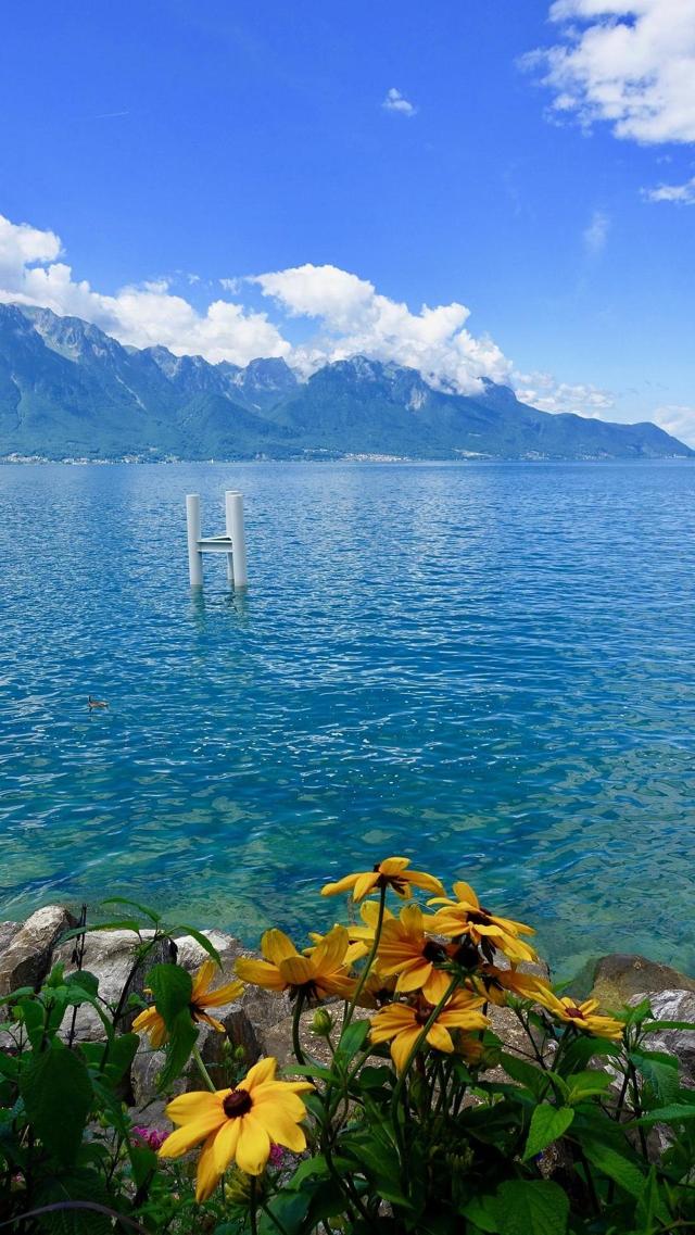 最迷人的平静湖面风光手机背景下载