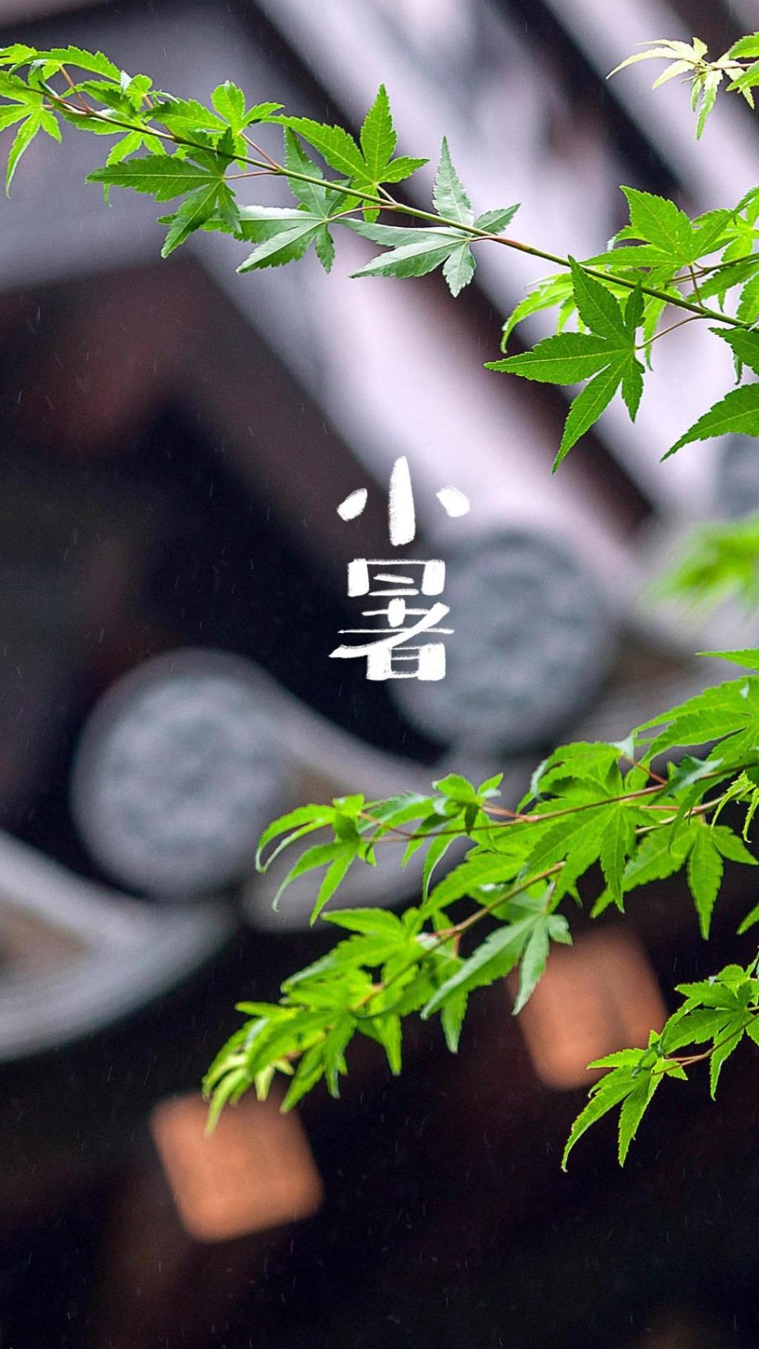 小暑庭院一角背景手机背景下载