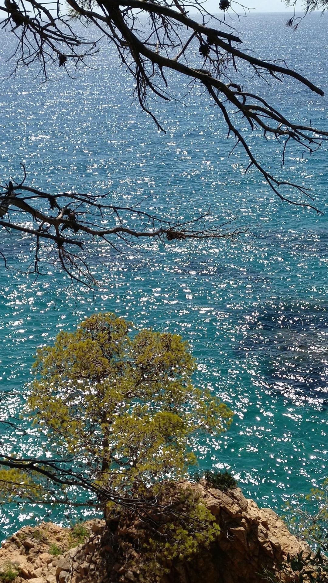 好看的波光粼粼的海上风光背景图