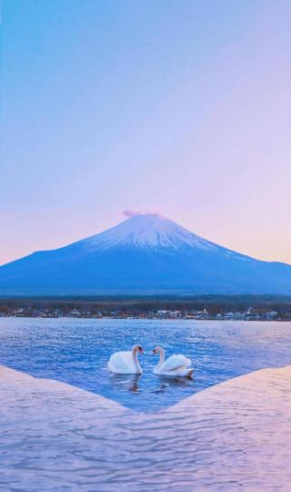 富士山下的清澈优美湖泊美景手机壁纸图片