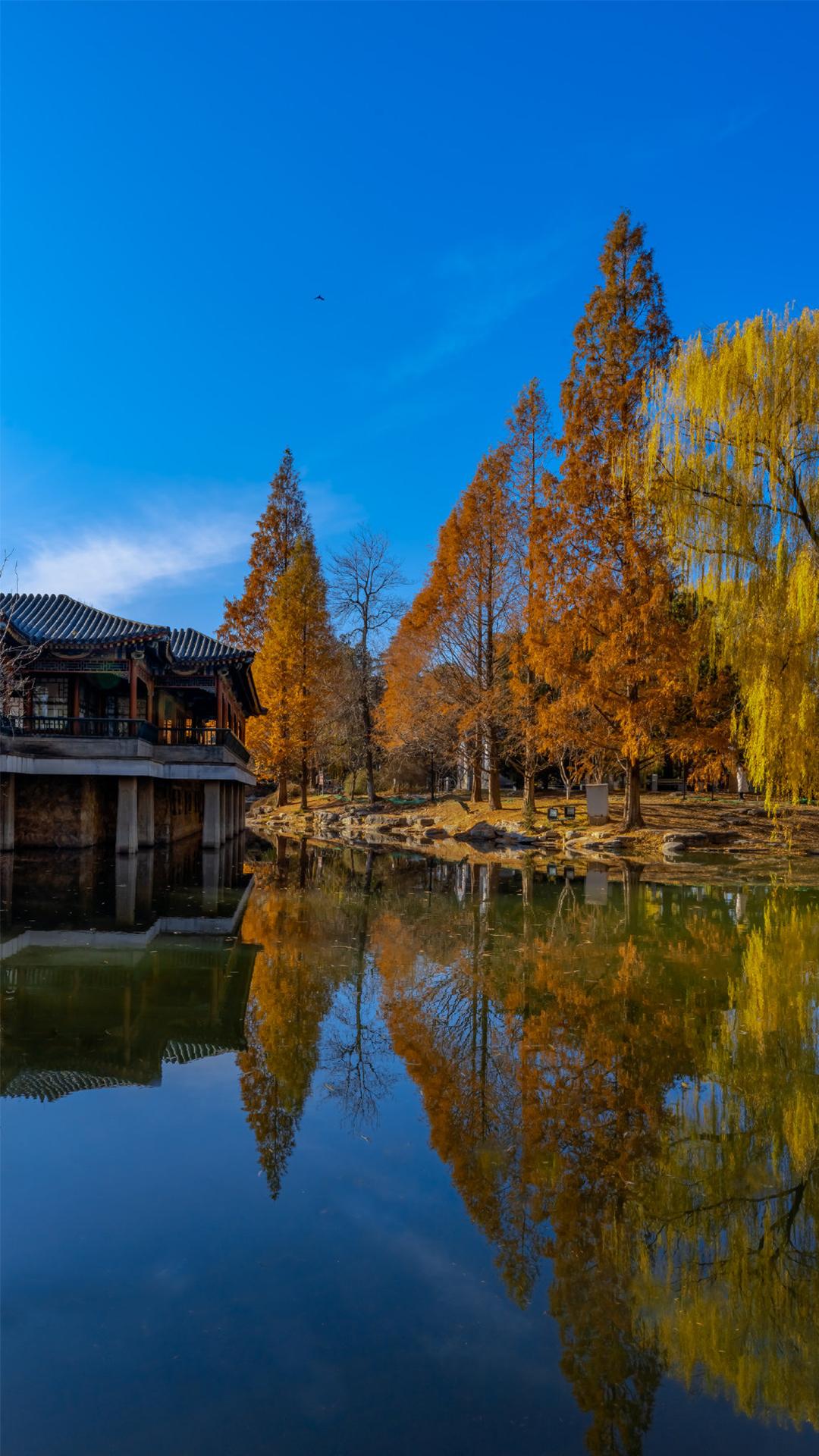 秋冬公园优美迷人风景高清壁纸