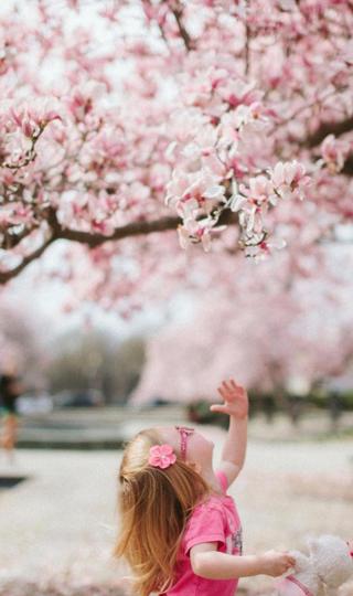 桃花树下的小女孩壁纸大全