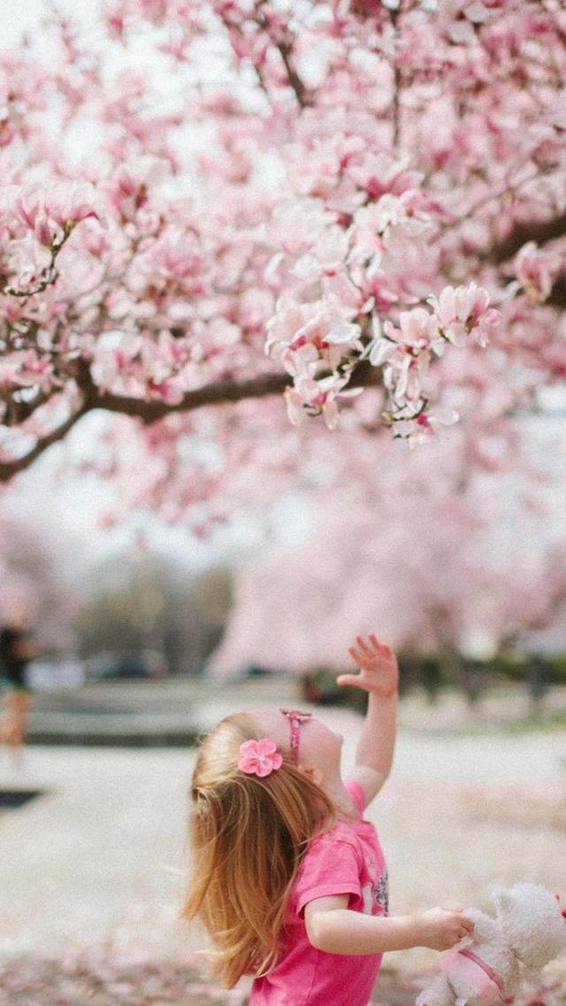 桃花树下的小女孩壁纸大全