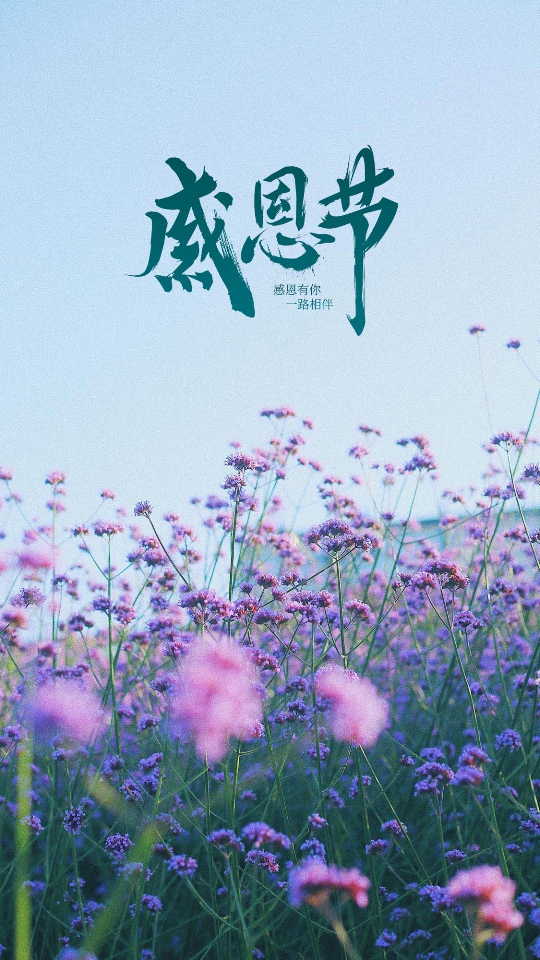 感恩节唯美花朵风景背景图