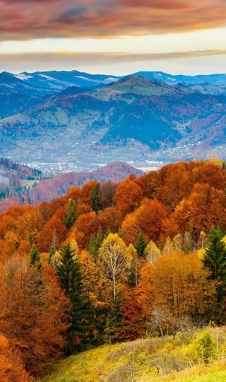 好看的优美迷人的秋天景色图片壁纸