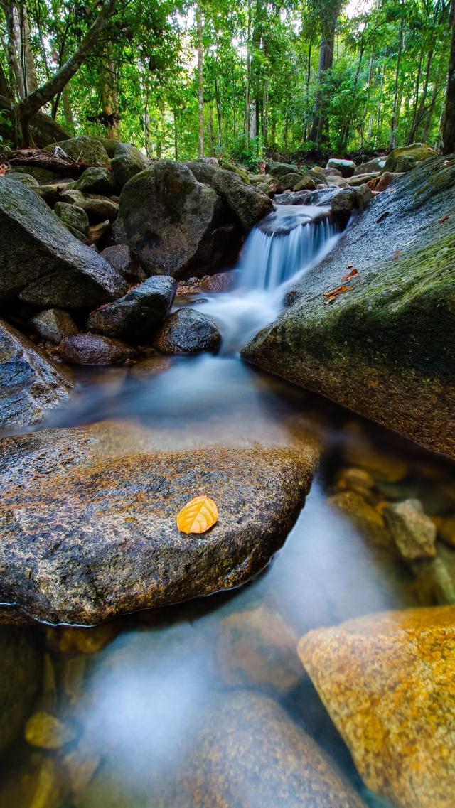 优美的山涧溪流风景壁纸图片