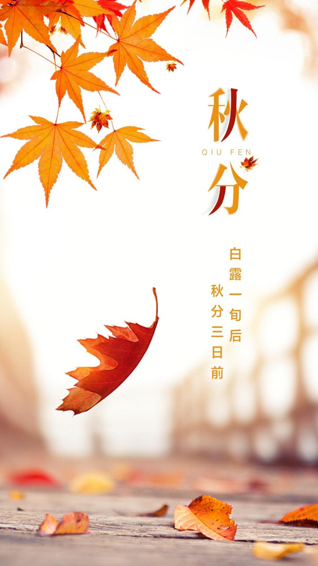 白露一旬后，秋分三日前高清手机壁纸