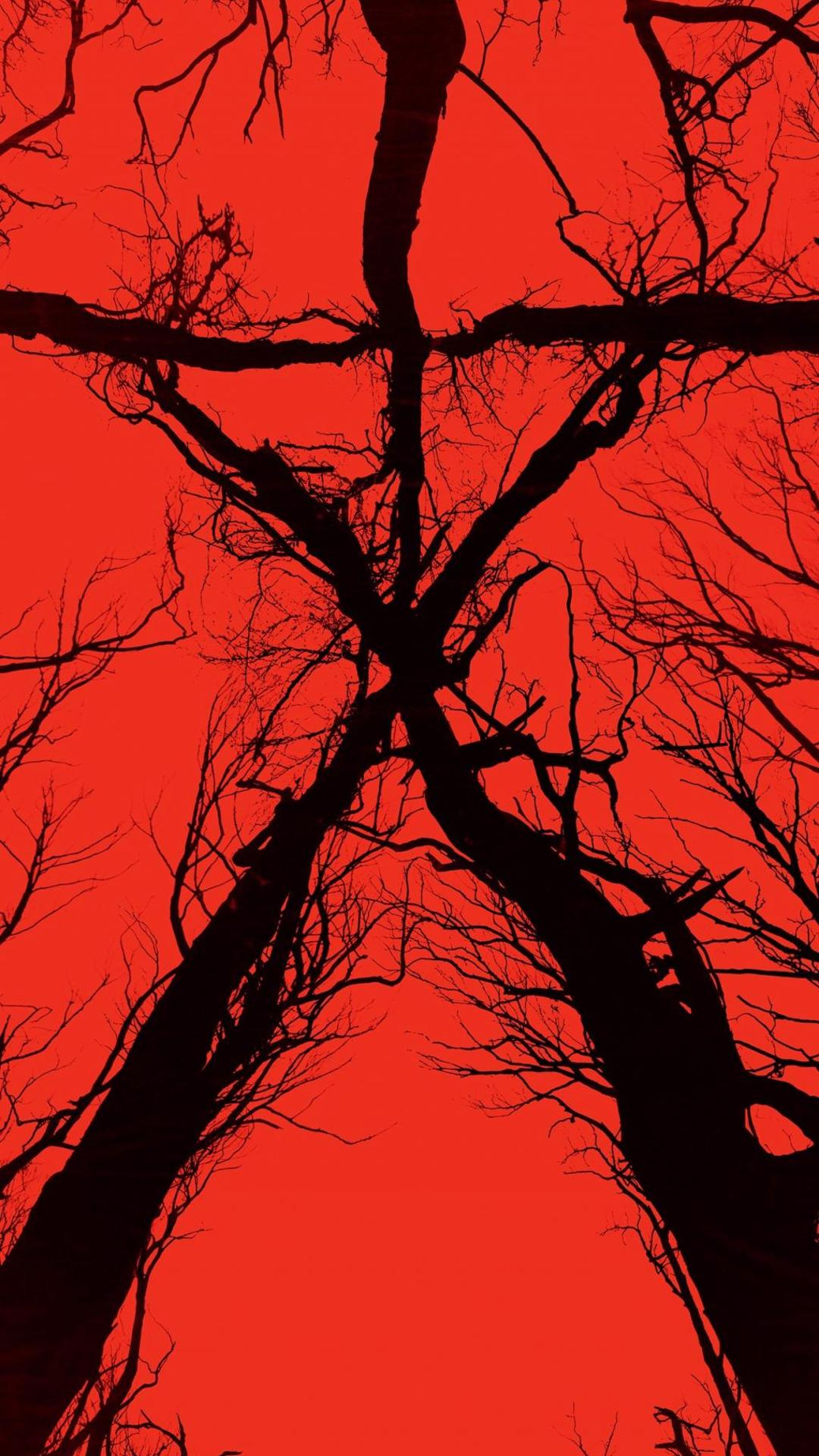 布莱尔女巫 Blair Witch(2016)高清手机壁纸