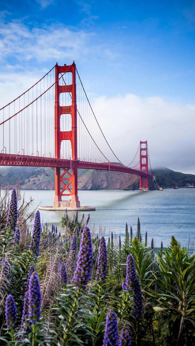 精美旧金山金门大桥手机壁纸图片下载