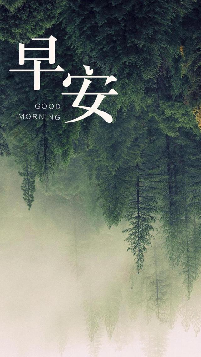 最新早安你好绿色森林美若黎明手机背景下载