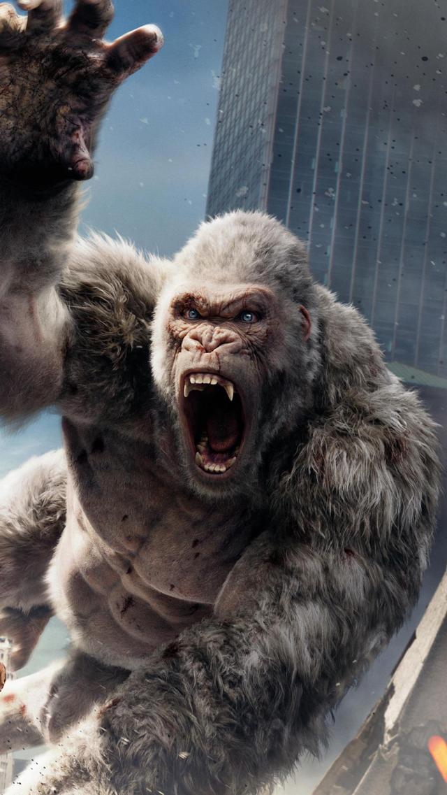 电影狂暴巨兽的大猩猩图片壁纸