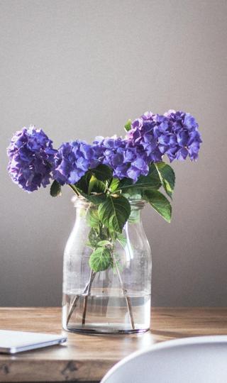 紫色花朵水培插花图片壁纸图片