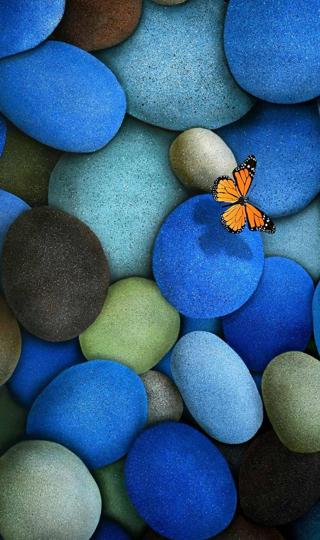 最新蓝色鹅卵石橙色蝴蝶壁纸图片